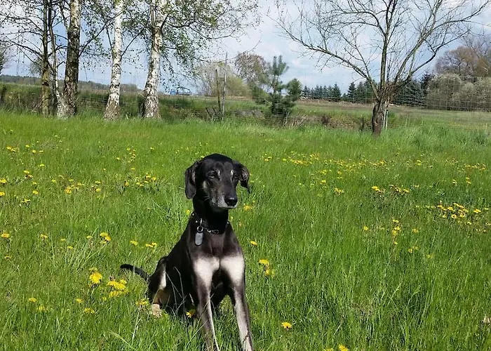 شقة Hof Heideland 2 - Fenster Zum Hof *