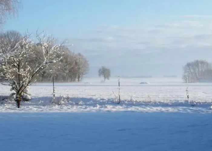 Hof Heideland 2 - Fenster Zum Hof * Eichholz